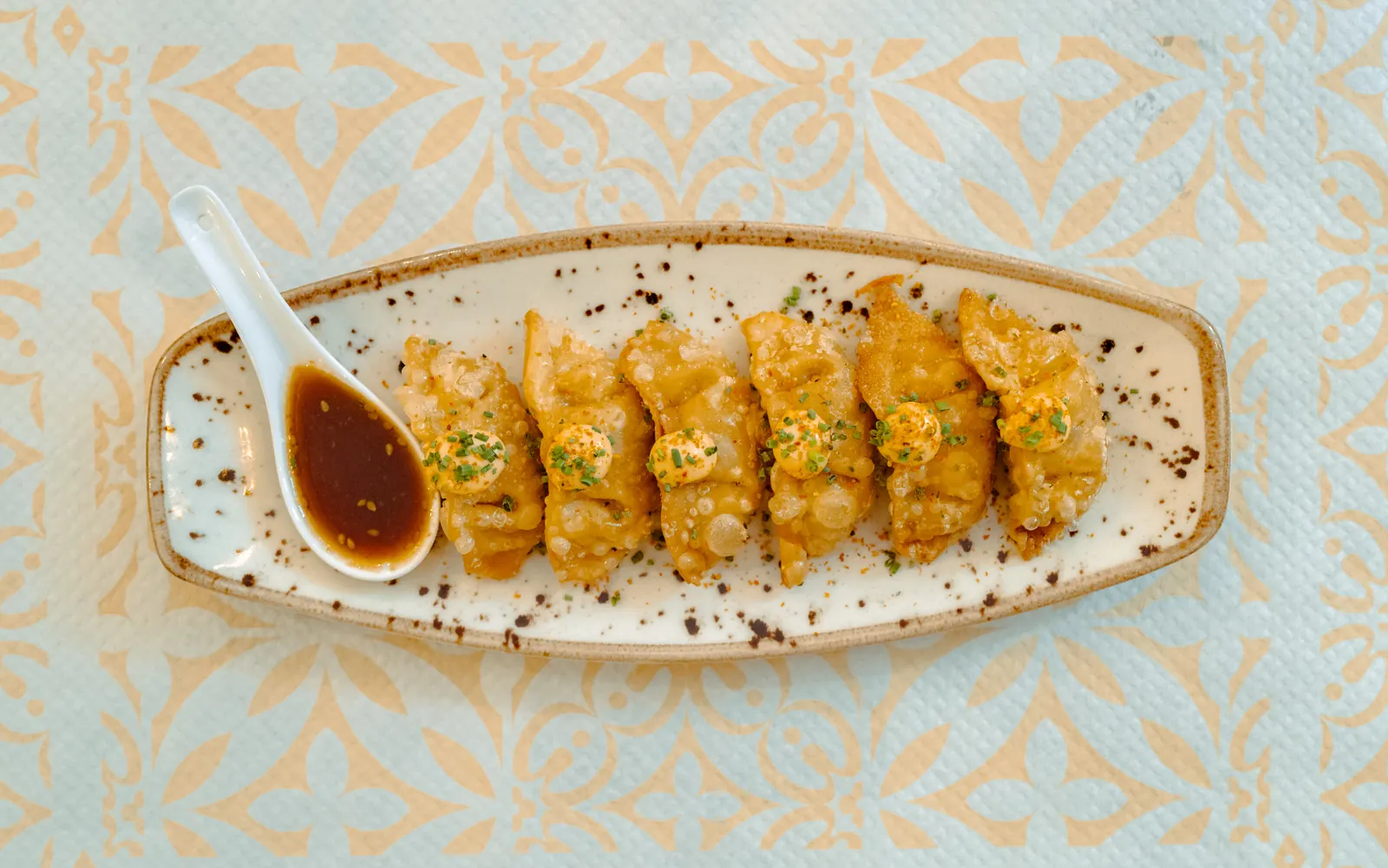 Gyozas con salsa Yakiniku en una fuente alargada, vistas desde arriba